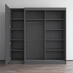 2-Door Wardrobe with Mirror, Glass Front, 2-Person (Gray / Black / White)